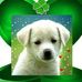 Profile Picture of Alice Murry (@alice.murry.7) on Facebook