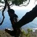 Profile Picture of Scott Baxter (@baxterspinbin) on Pinterest