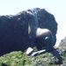 Profile Picture of Andrew Heyl (@andrew_heyl) on Pinterest
