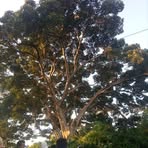 Profile Picture of Edma Dagnaw Meseret (@edmadagnaw.meseret) on Facebook