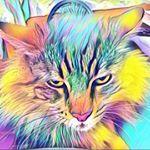 Nancy Siegel - Instagram Profile Picture of Nancy Siegel (@nrsiegel67) on Instagram