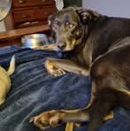 Profile Picture of Lindsay Bird (@Lindsay-Bird) on Facebook