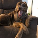 Profile Picture of David Dorion (@dorion741) on Instagram