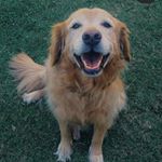 Olivia Almendra Sagás Narváez🌾 - Instagram Profile Picture of Olivia Almendra Sagás Narváez🌾 (@0li_sagas) on Instagram