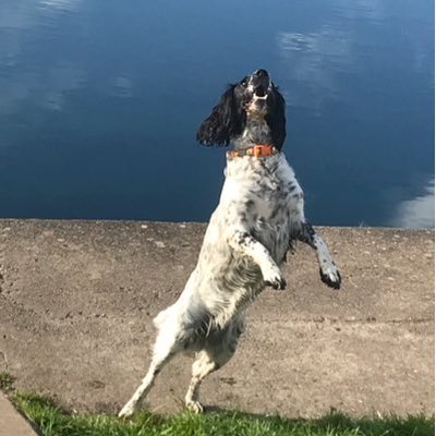 Profile Picture of Stephen I'anson (@StephenIanson61) on Twitter