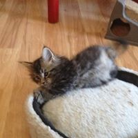 Profile Picture of Pam Knox (@pam-knox-4) on Quora