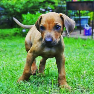 Chelsea D'Angelo - Instagram Profile Picture of Chelsea D'Angelo (@chelsea.dangelo) on Instagram