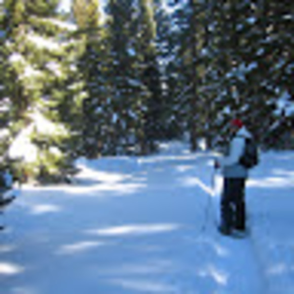 Profile Picture of Steeviann (@steeviann) on Poshmark