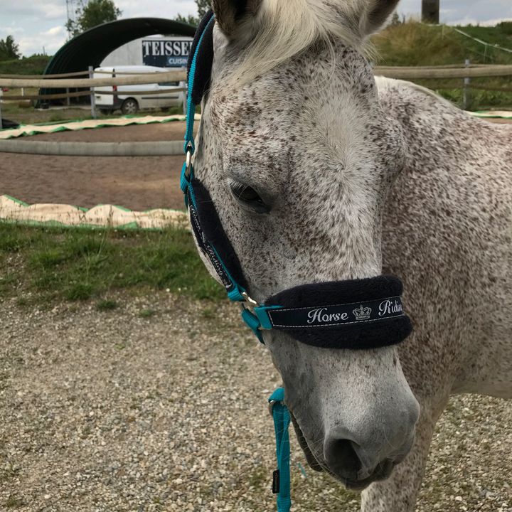 Profile Picture of melba (@melba.mn) on Tiktok