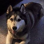Profile Picture of Chris Keough (@chris.keough.16) on Instagram