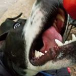 Profile Picture of Jeremy Masteller (@jeremymasteller) on Instagram
