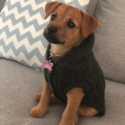 Profile Picture of Amber Blake (@iwannabapenguin) on Youtube