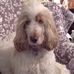 Profile Picture of Alyson Davison (@alyson.davison.12) on Facebook