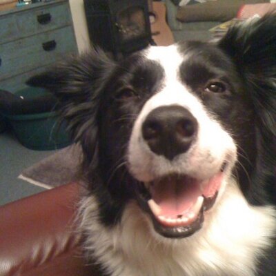 Profile Picture of Isle Of Skye Daily (@DavidColbourne1) on Twitter