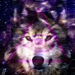 Profile Picture of boris lopez (@boridg11) on Instagram