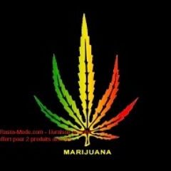 Profile Picture of Bryan Gerard (@Bryanstessy2208) on Twitter