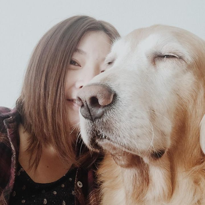 Profile Picture of Kyaoyama (@kyaoyama) on Tiktok