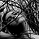 Profile Picture of Laura Pacaud (@laurapacaud) on Flickr