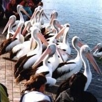 Profile Picture of Joanne Waters (@265483577) on Myspace