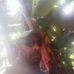Profile Picture of John Teine (@john.teine.735) on Facebook