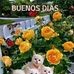 Profile Picture of Benny Jimínez (@benny.jiminez.9) on Facebook