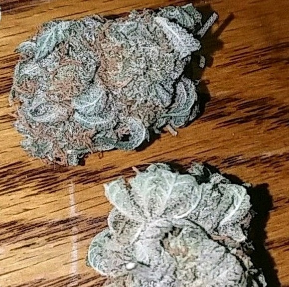 Profile Picture of Andrew Meraz (@andrew235) on Poshmark