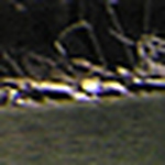 Profile Picture of David Magne  