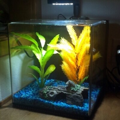 Profile Picture of Kyle Keever (@ZooKeever_Kyle) on Twitter