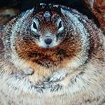 Profile Picture of Alex Fultz (@fultz889) on Instagram