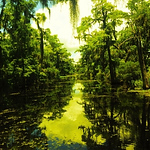 Profile Picture of James Crowe (@jamescrowe3) on Flickr