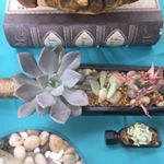 Profile Picture of Cary Bernat (@bottleofmyheart) on Instagram