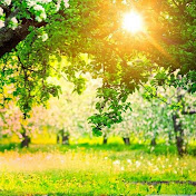 Profile Picture of Farouk Hassan (@faroukhassan440) on Youtube