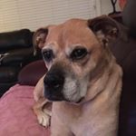 Profile Picture of Lisa Surratt (@hughessherry84) on Instagram