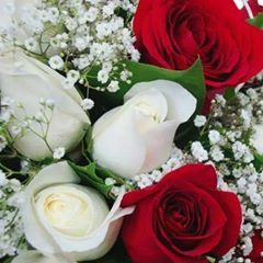 Profile Picture of Ana Cristina Gibbs (@anacristinagibbs) on Tiktok