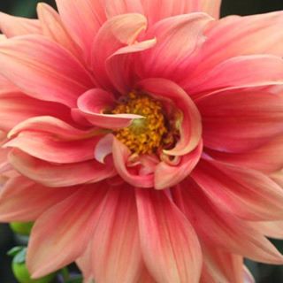 Profile Picture of Chrystal HoldernessClement (@chrystal.holdernessclement) on Facebook