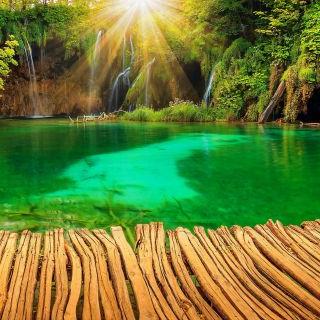 Profile Picture of Jasmin Frank (@jasminfrank6410) on Twitter