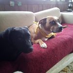 Profile Picture of Amanda Bailey (@amanda_harlee_nash) on Instagram