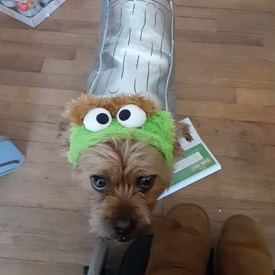 Profile Picture of Lea Clayton (@LeaClay98911165) on Twitter