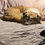 Profile Picture of Steve Greenbaum (@steve.greenbaum.9) on Instagram