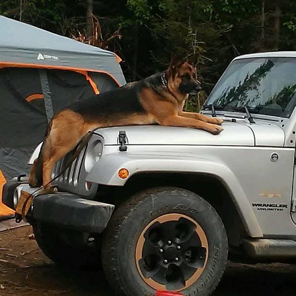 Profile Picture of George Duprat (@dupt71113) on Poshmark