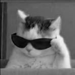 Profile Picture of Gabriel Hoppe (@Gabriel-Hoppe) on Facebook