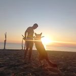 Profile Picture of Roberto Palio (@robi_palio) on Instagram