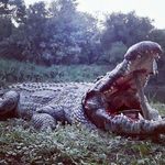 Profile Picture of Peter Jimmy Blicha (@peterjimmyblicha) on Instagram