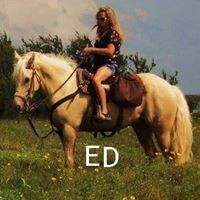 Profile Picture of Lori Worden (@lori-worden-2) on Quora