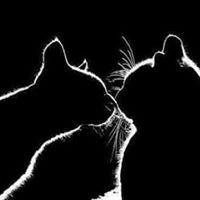 Profile Picture of Lili Andrade (@lili-andrade-1) on Quora