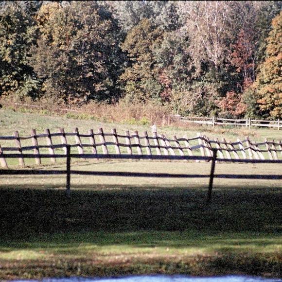 Profile Picture of David Guzewicz (@davidguzewicz) on Poshmark