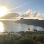 Profile Picture of Trent Forrest (@forrestathletic) on Instagram