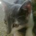 Profile Picture of Pascale Gourdon (@pascale.gourdon.1) on Facebook