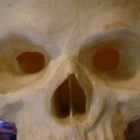 Profile Picture of Shawn Belcher (@shawn-belcher-2) on Quora