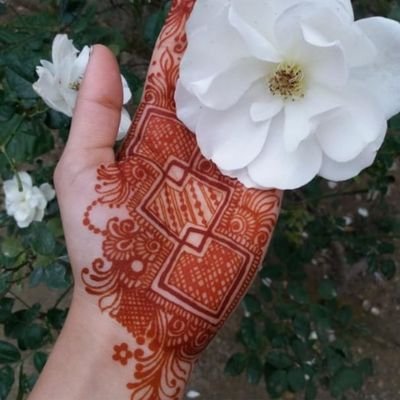 Profile Picture of Ghazala Kanwal (@GhazalaKanwal6) on Twitter